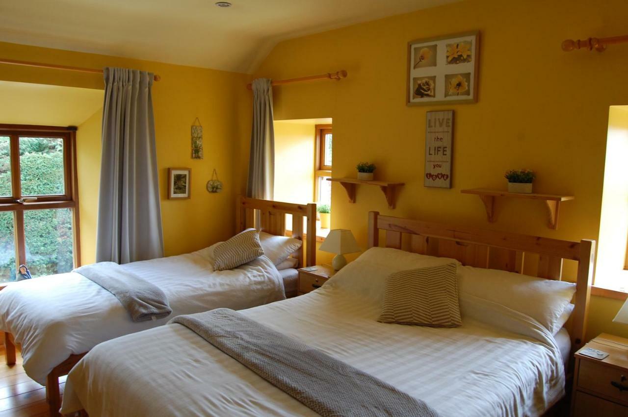 Tinnycross House B&B Ballymore Eustace Luaran gambar