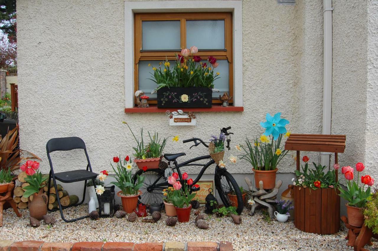 Tinnycross House B&B Ballymore Eustace Luaran gambar